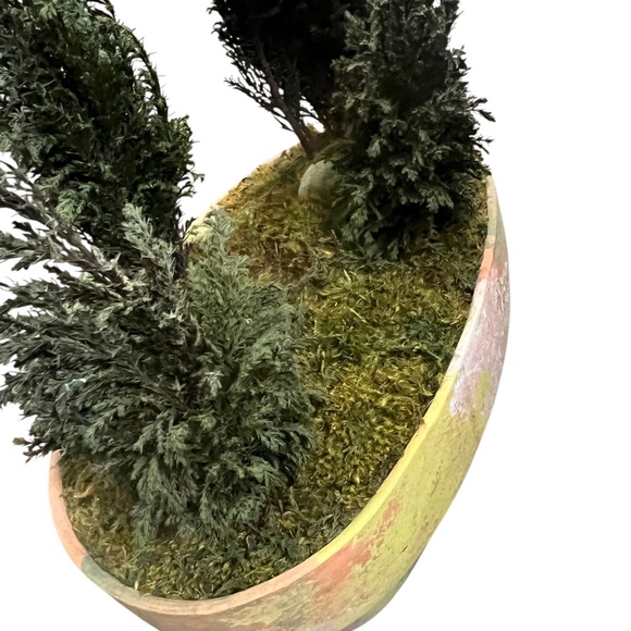 FOREVER GREEN ART Potted Quartet Mini Cypress Tree In‎ Oval Terra Cotta Planter - Picture 11 of 12